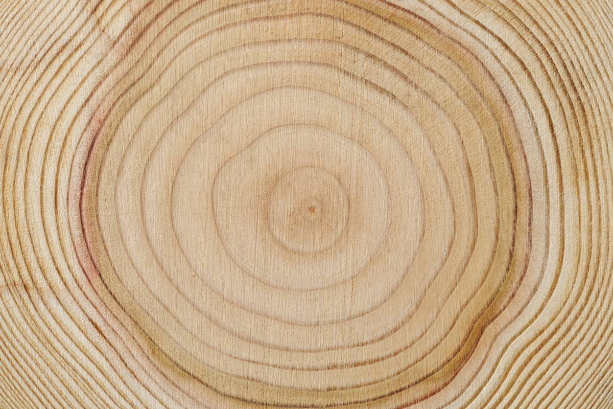 Wooden structures